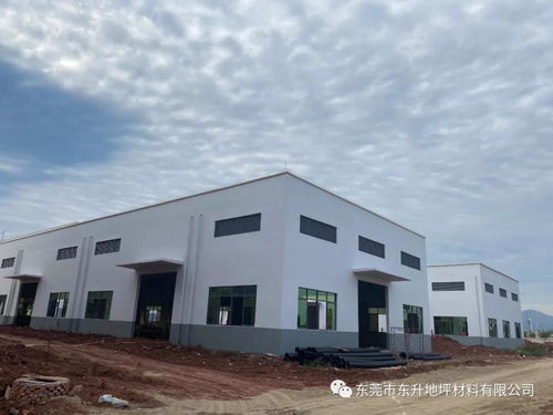 聚力共赢 再筑新章丨东升地坪年产10万吨环保建筑涂料化工厂即将投产