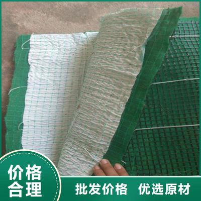 椰纤植生毯-生态环保草毯