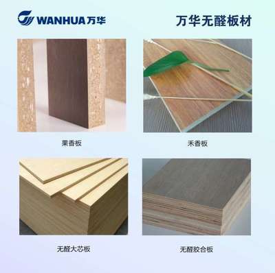 万华集团全系无醛建材新品推介会